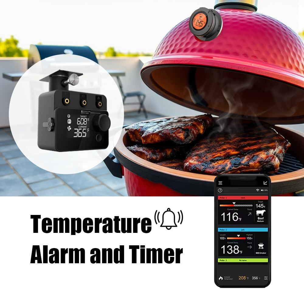 Drahtloses Bluetooth-Fleischth – Electric Smoker Bbq Bewertung und Preis