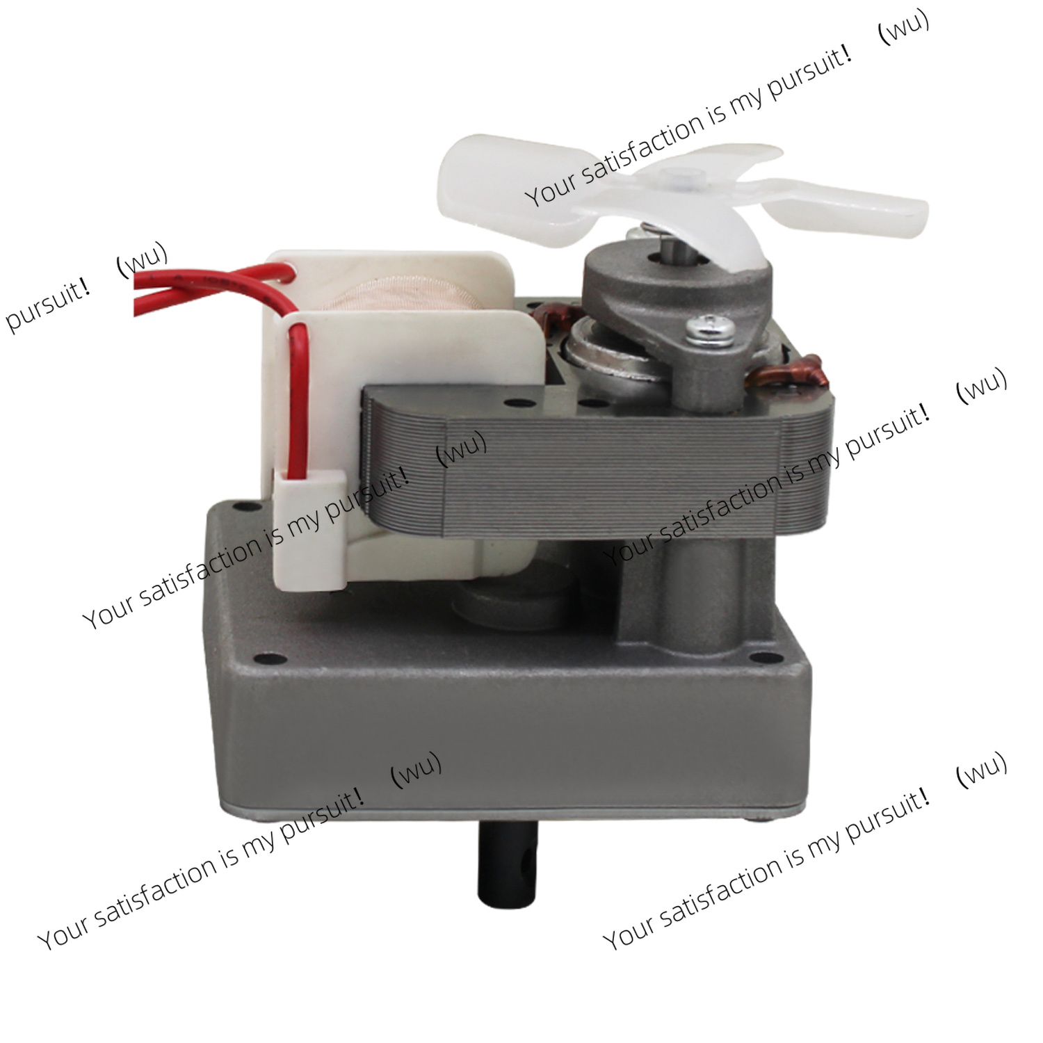 220V 2,0 U/min Ersatz-Schnecke – Electric Smoker Bbq Bewertung und Preis